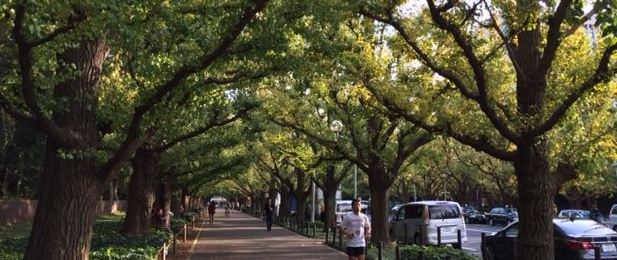 写真2