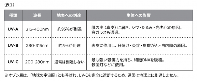 写真2